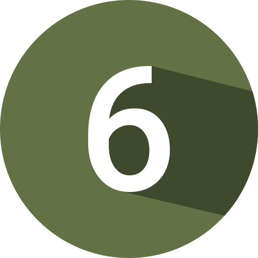 6